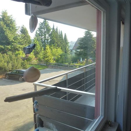 Moderne, Ruhige Ferienwohnung In Braunlage Harz Inkl Wlan & Netflix ภายนอก รูปภาพ