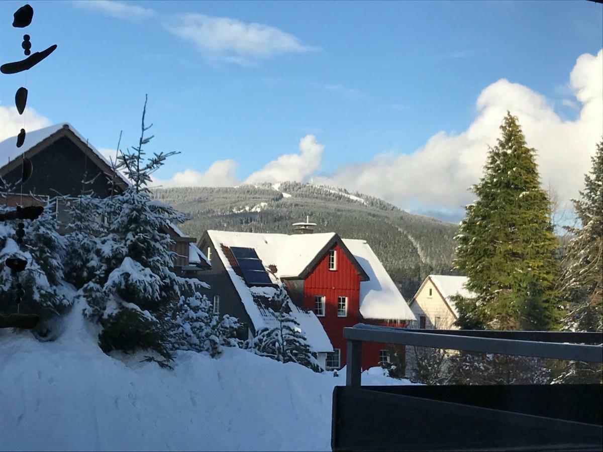 Moderne, Ruhige Ferienwohnung In Braunlage Harz Inkl Wlan & Netflix ภายนอก รูปภาพ